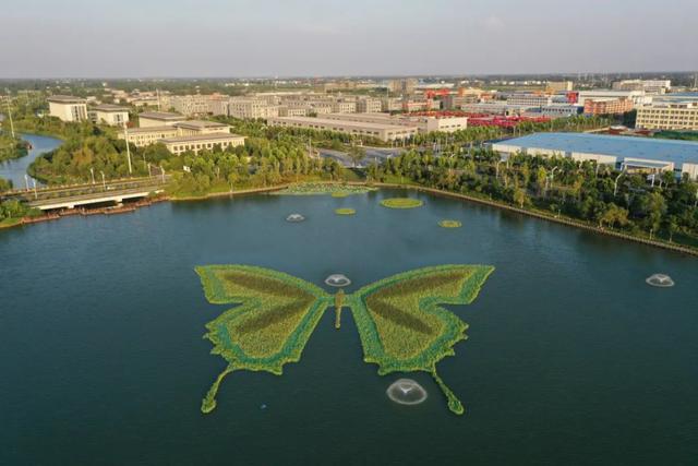 习习春风润江淮·阜阳篇:全力打造绿色生态城市